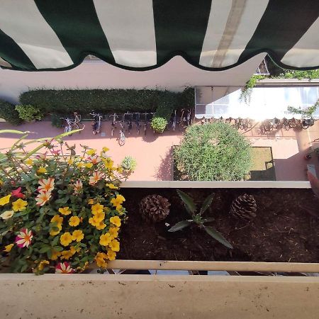 Intero Appartamento - A Soli 50 M Dal Mare Viareggio Luaran gambar